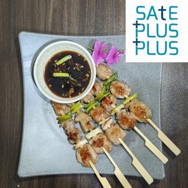 SATE PLUS PLUS X TERAS RUKI BEJI