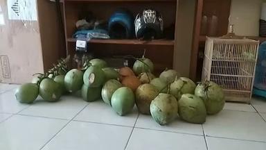 ES KELAPA MUDA LAVRING