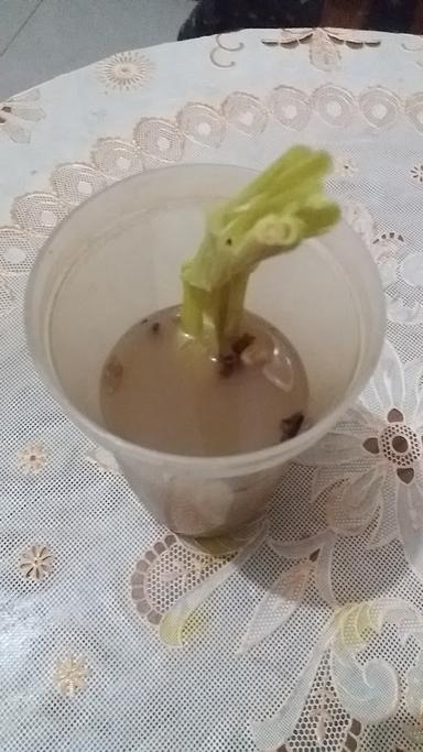 LAPAK JAHE DAN HERBAL