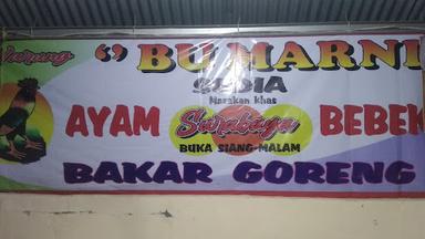 SATE KIKIL KAYURINGIN