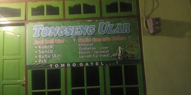 TONGSENG ULAR