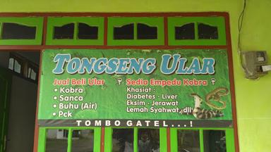 TONGSENG ULAR