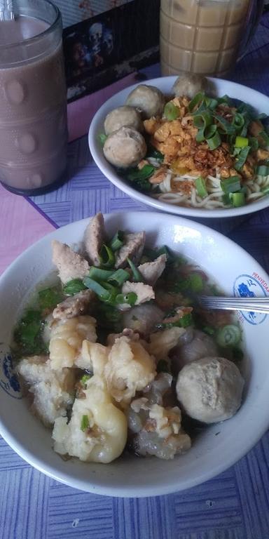 MIE AYAM DAN BAKSO SOPO NGIRO