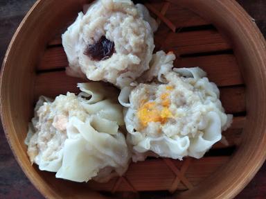 DIMSUM 88