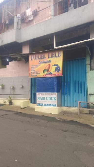 PECEL LELE SAHABAT