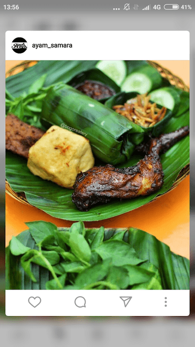 AYAM SAMARA