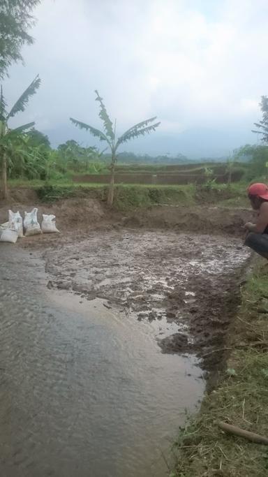 WARUNG KOPI TENGAH SAWAH