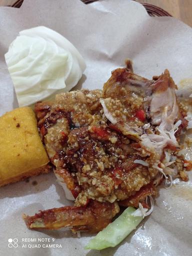 AYAM GEBUK GELO