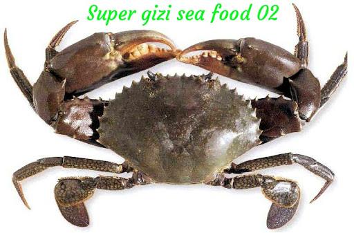 SUPER GIZI SEA FOOD