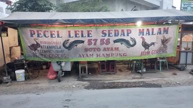 PECEL LELE SEDAP MALAM 5758