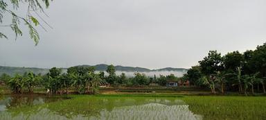 MONGGO NGOPI KANG