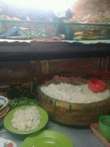 NASI GORENG GILA 33