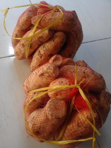 SYURGA DIBAWAH 13RB