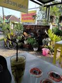 Warung Kuning