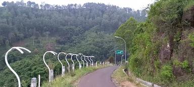 WARUNG KOPI KEBUN ALAMI