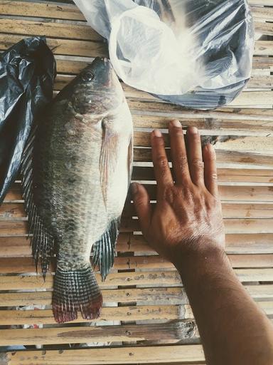 PECEL MADIUN