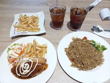 SOLARIA TRANSMART