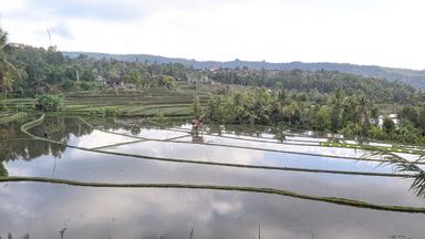 RUMAH MAKAN SEDERHANA