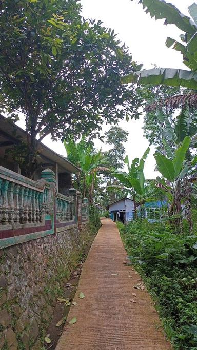 WARUNG NASI GAPURA ( UJANG )