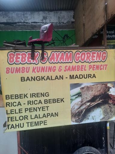 BEBEK DAN AYAM GORENG BUMBU KUNING SAMBEL PENCIT