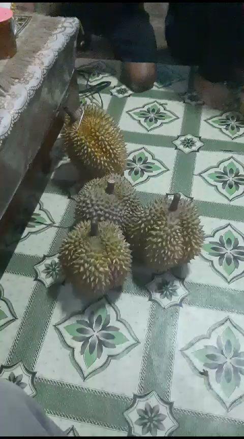 ANDRI DURIAN