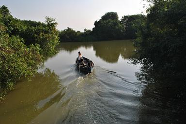 EKOWISATA KEDUNG COWET MANGROVE CEMARA INDAH