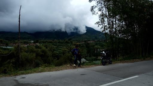 WARUNG MAKAN TEGAL MULYO BU TARMI