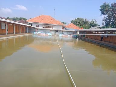 PEMANCINGAN DADAN INDAH