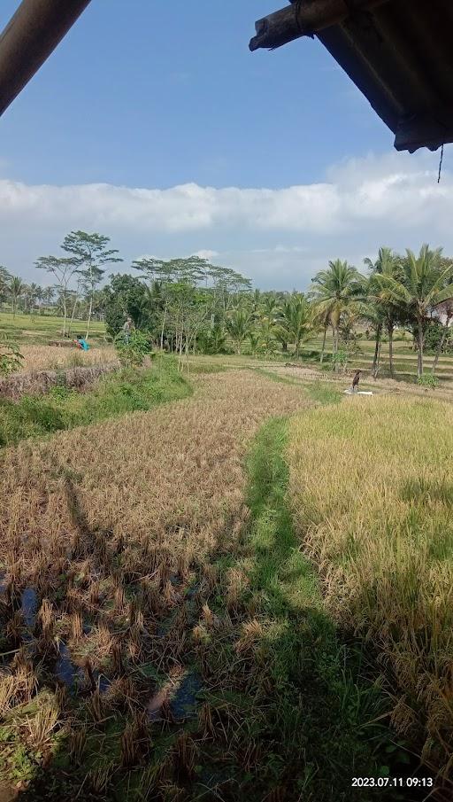 WARUNG TEH YANTI BOJONG