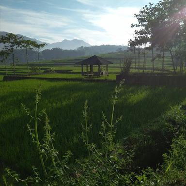 SAUNG ABAH