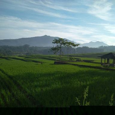 SAUNG ABAH