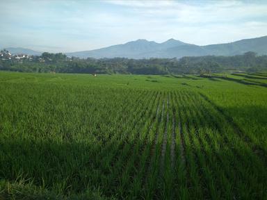 SAUNG ABAH