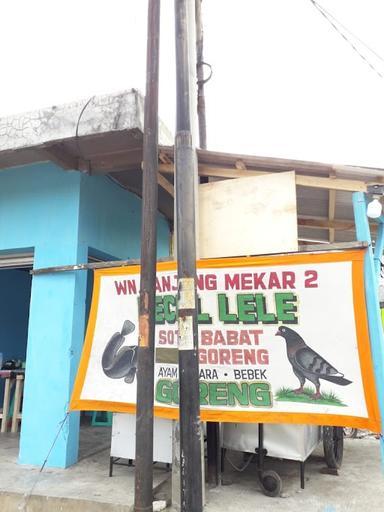 WARUNG PECEL LELE JOYO TUBAN