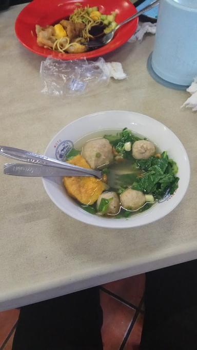 BASO SOLO PASTEUR