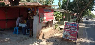 AYAM PENYET UJI NYALI