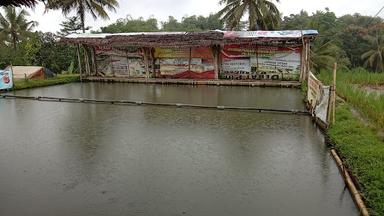 SAUNG SR & PEMANCINGAN IKAN MAS