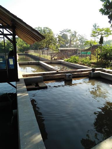 KOLAM IKAN ABIZAR