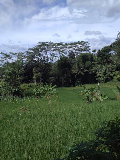 KLP TANI GELAR TANGHI