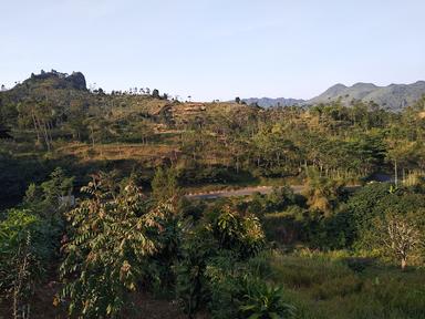 SAUNG SINDANG LENGO