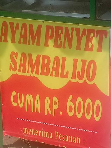 AYAM PENYET NUR PUTRA 2