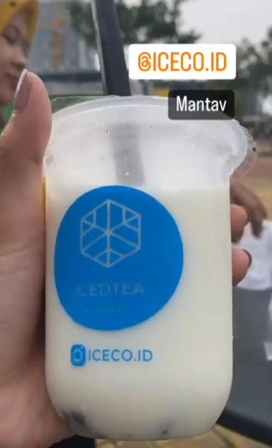 ICEDTEA BY ICECO SAMANEA