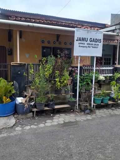 KEDAI JAMU DIPONOTO