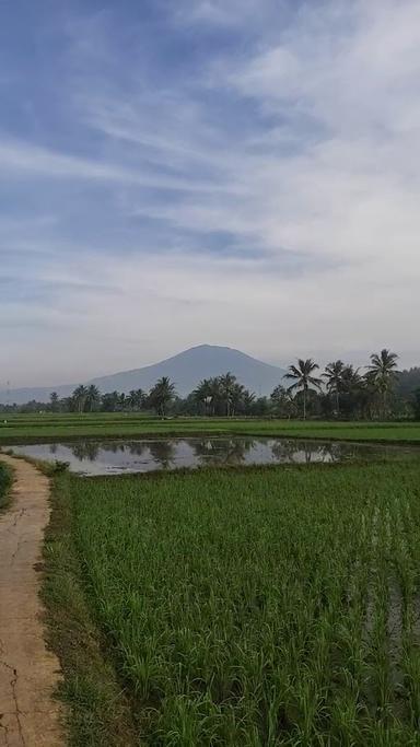 PASIR KADU