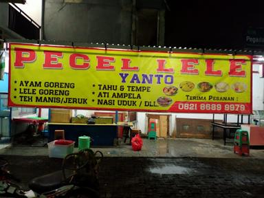 PECELLELE YANTO