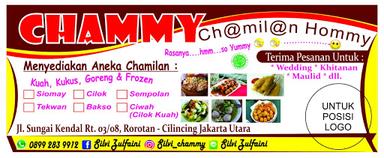 SILVI_CHAMMY (CHAMILAN HOMMY)