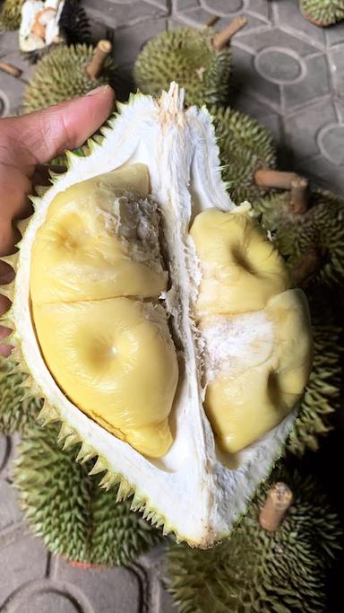 DURIAN SIPAPI GARDEN DEPOK