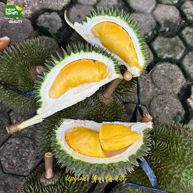 DURIAN SIPAPI GARDEN DEPOK