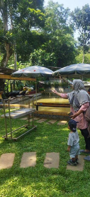 CURUG PUTRI CIPARIUK