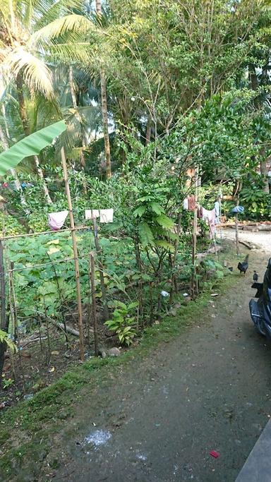 WARUNG AYAM KAMPUNG