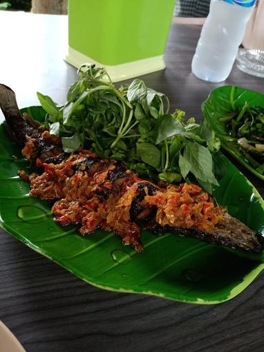 NASI TIMBEL SAUNG KURING